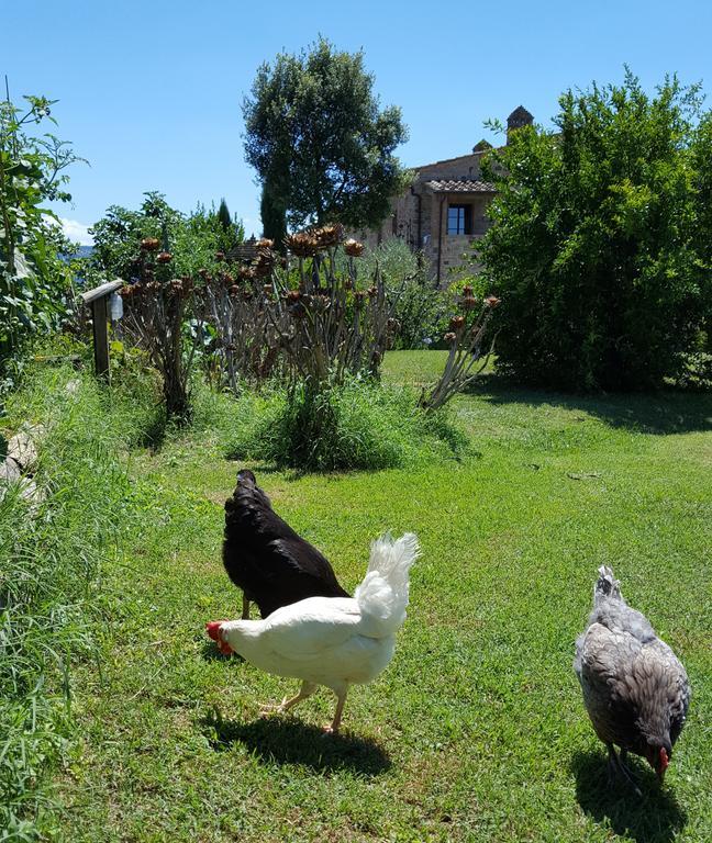 Podere Cunina بونكونفينتو المظهر الخارجي الصورة